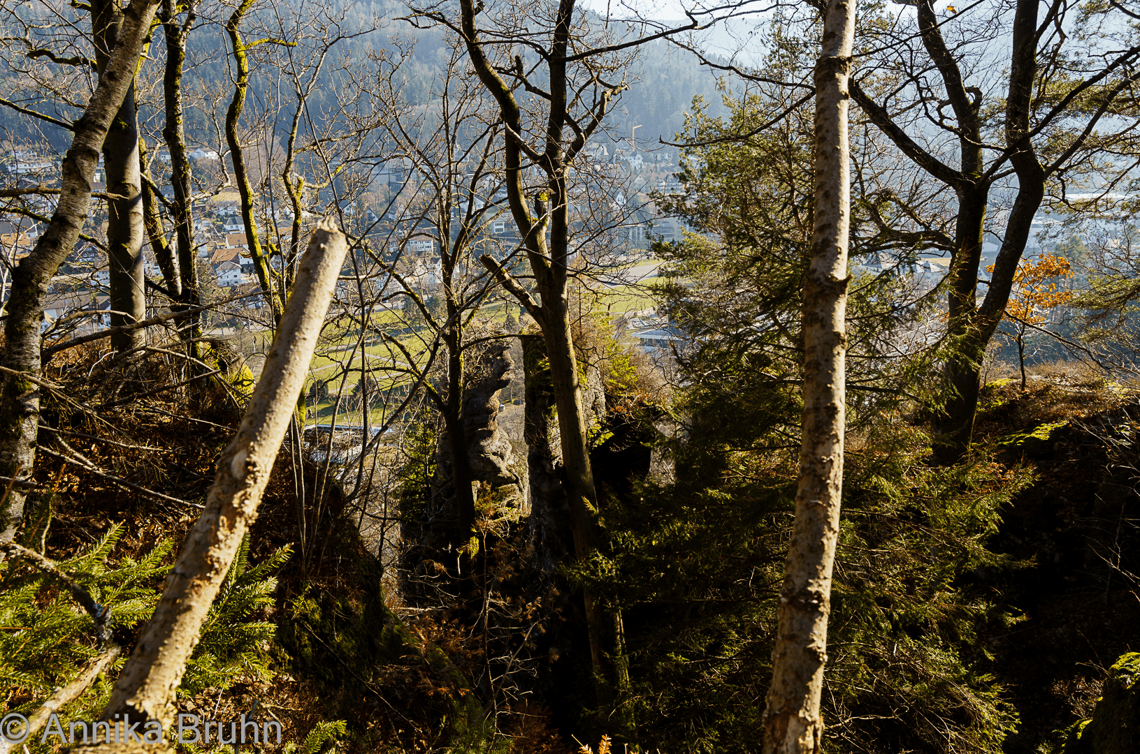Aussicht vom Falkenstein